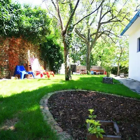 Freddie Next To Mercury Ostello Bratislava